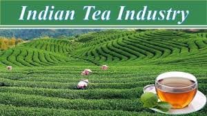 Tea Association of India